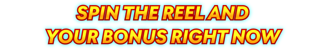 Spin the reel and your bonus right now